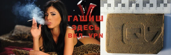 крисы Коряжма