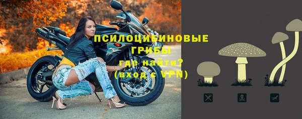 крисы Коряжма