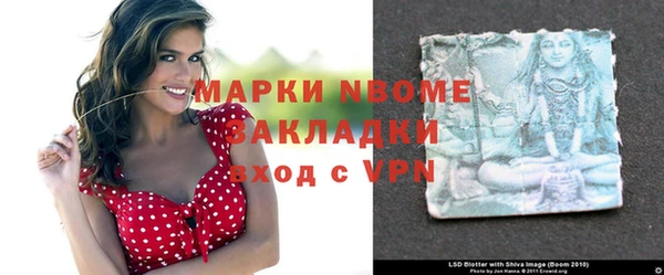 крисы Коряжма