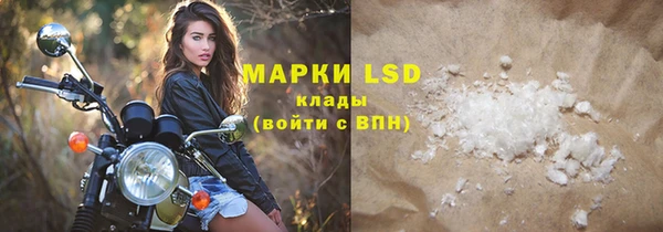 крисы Коряжма