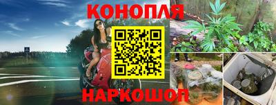 ГАЛЛЮЦИНОГЕННЫЕ ГРИБЫ Кингисепп