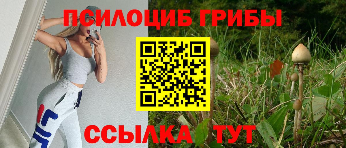 Сарапул  Псилоцибиновые грибы ЛСД  Вход с VPN  Галлюциногенные грибы Magic Shrooms 